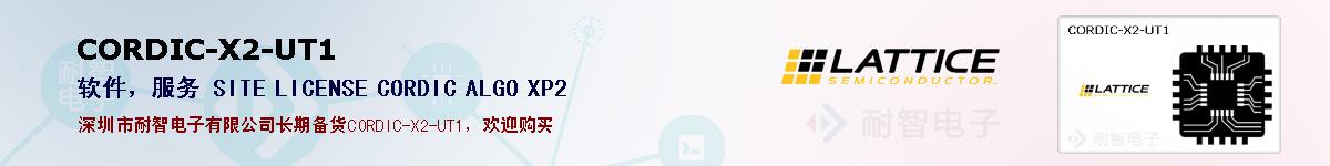 CORDIC-X2-UT1�ı��ۺͼ�������