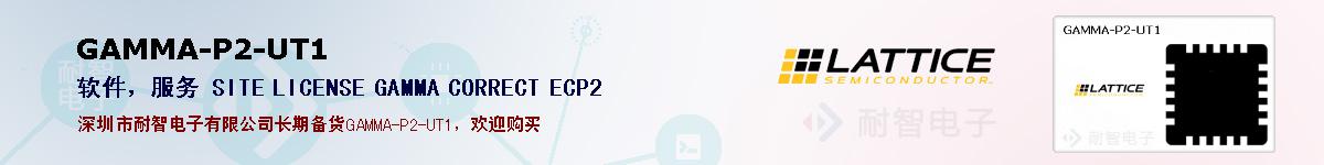 GAMMA-P2-UT1�ı��ۺͼ�������