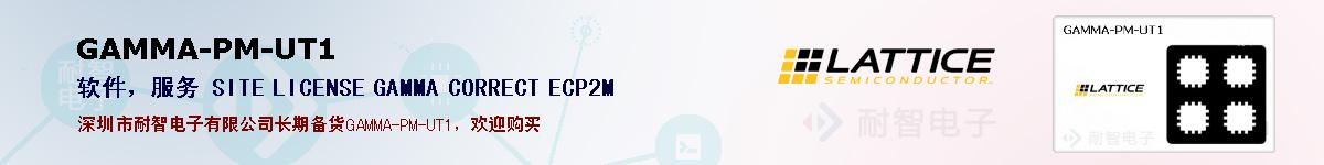 GAMMA-PM-UT1的报价和技术资料