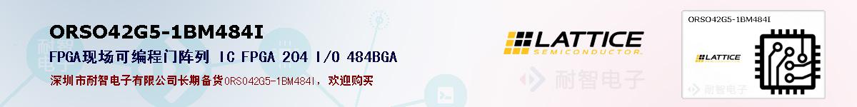 ORSO42G5-1BM484I�ı��ۺͼ�������