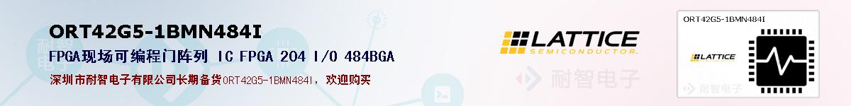 ORT42G5-1BMN484I�ı��ۺͼ�������