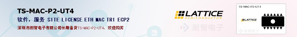 TS-MAC-P2-UT4�ı��ۺͼ�������