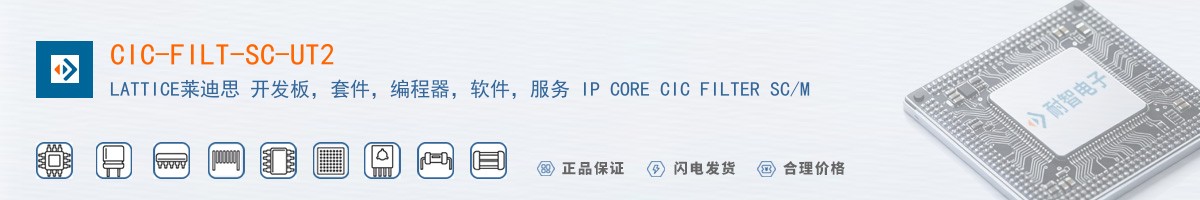 CIC-FILT-SC-UT2������