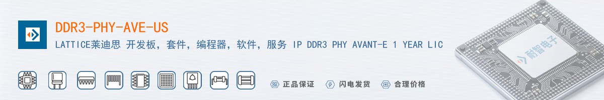 DDR3-PHY-AVE-US������