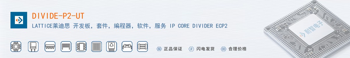 DIVIDE-P2-UT������