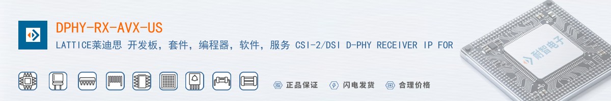 DPHY-RX-AVX-US������