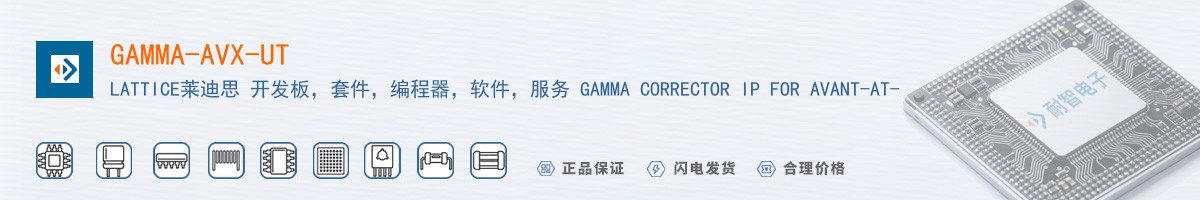GAMMA-AVX-UT������