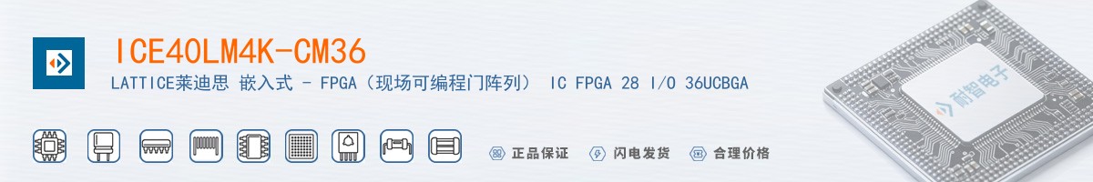 ICE40LM4K-CM36������