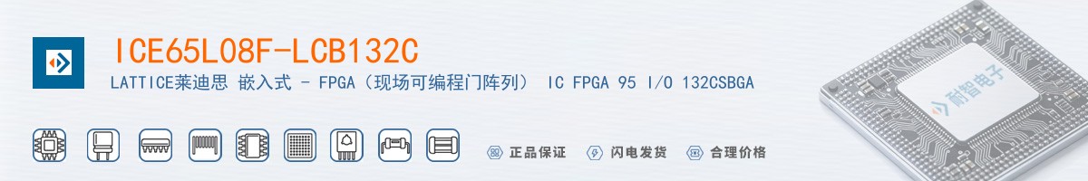 ICE65L08F-LCB132C������