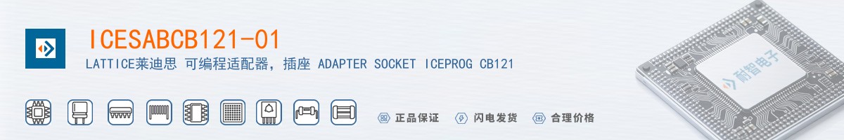 ICESABCB121-01������