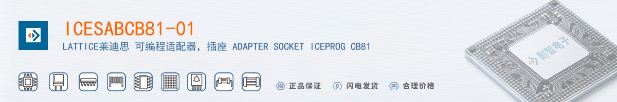 ICESABCB81-01������