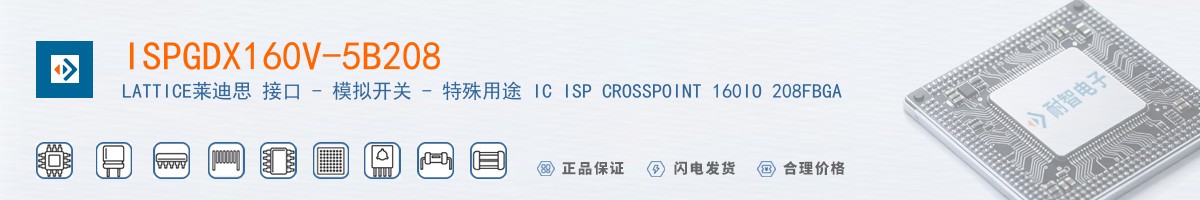 ISPGDX160V-5B208������