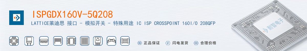 ISPGDX160V-5Q208������
