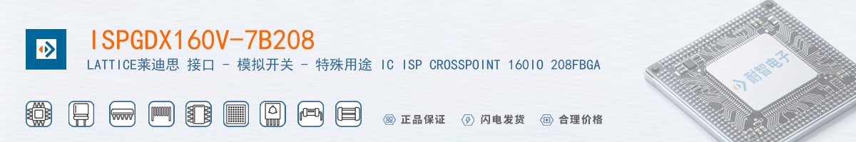 ISPGDX160V-7B208������