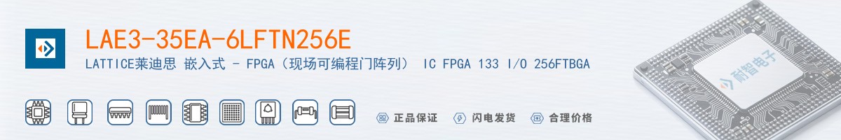 LAE3-35EA-6LFTN256E������