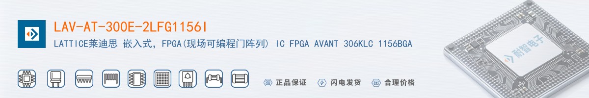LAV-AT-300E-2LFG1156I������