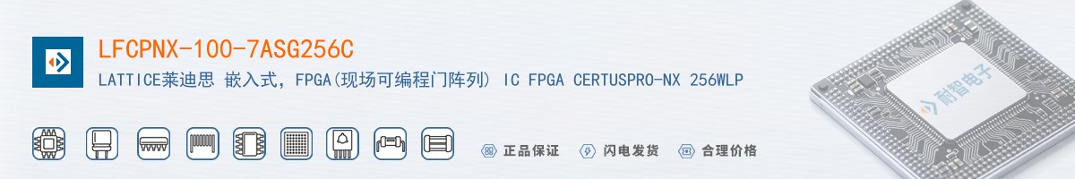 LFCPNX-100-7ASG256C������
