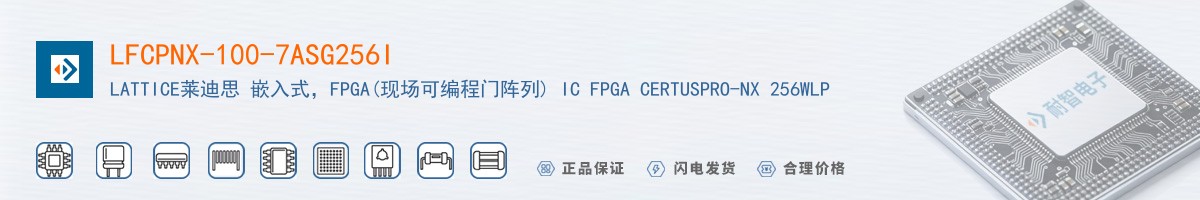 LFCPNX-100-7ASG256I������
