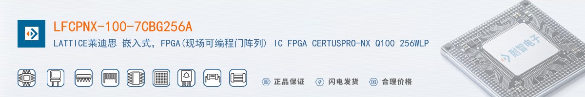 LFCPNX-100-7CBG256A������