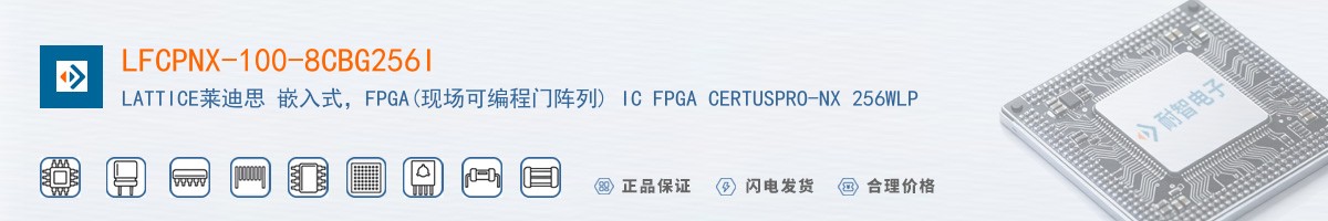 LFCPNX-100-8CBG256I������