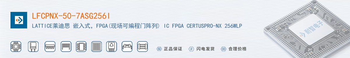 LFCPNX-50-7ASG256I������