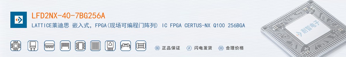LFD2NX-40-7BG256A������