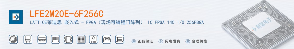 LFE2M20E-6F256C������