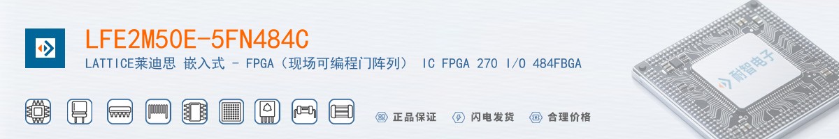 LFE2M50E-5FN484C������