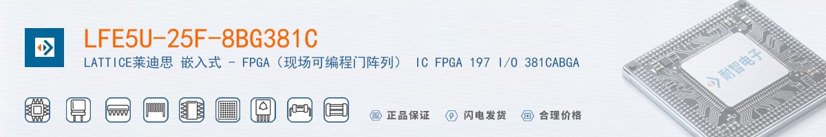 LFE5U-25F-8BG381C������