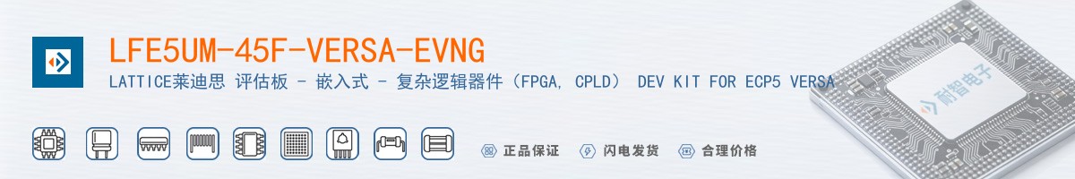 LFE5UM-45F-VERSA-EVNG������