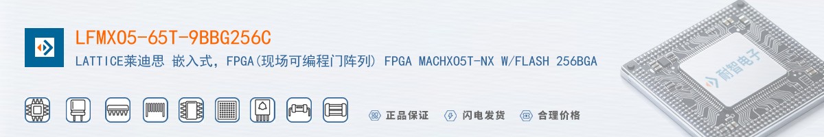 LFMXO5-65T-9BBG256C������