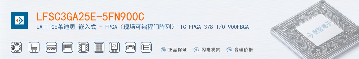 LFSC3GA25E-5FN900C������