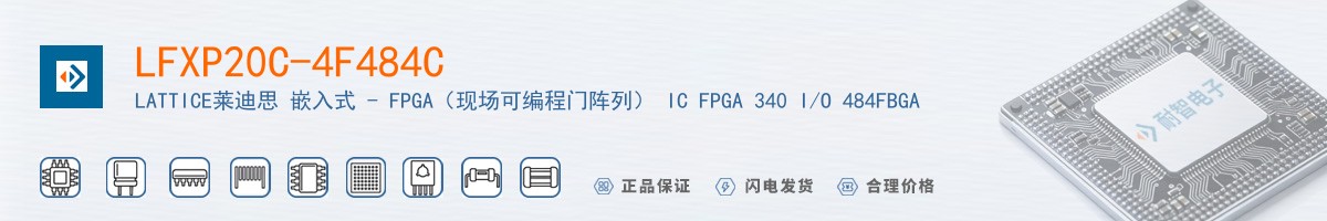 LFXP20C-4F484C������