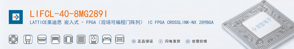 LIFCL-40-8MG289I������