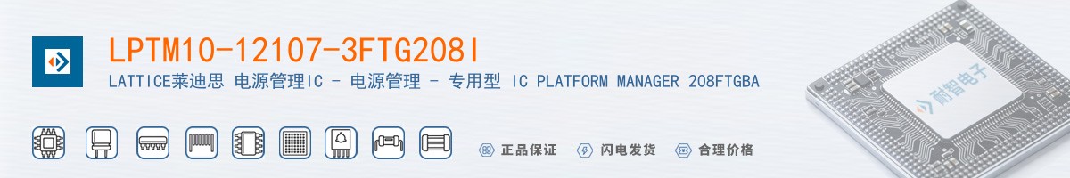 LPTM10-12107-3FTG208I������