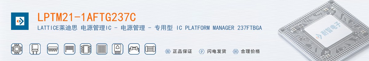 LPTM21-1AFTG237C������