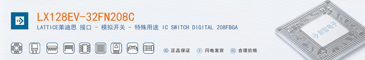 LX128EV-32FN208C������