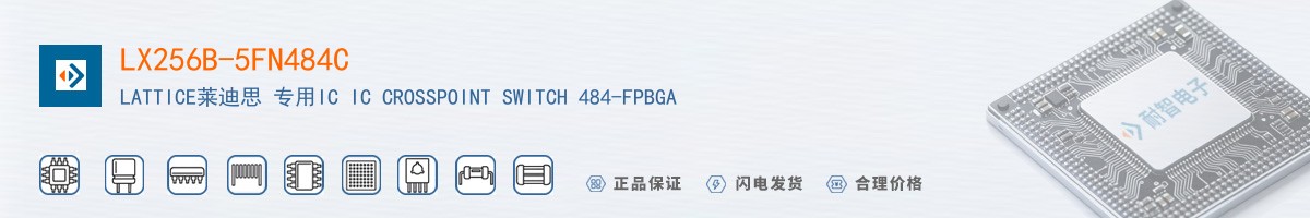 LX256B-5FN484C������