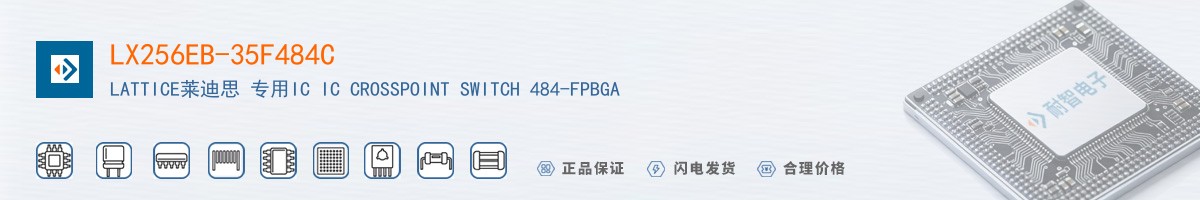 LX256EB-35F484C������