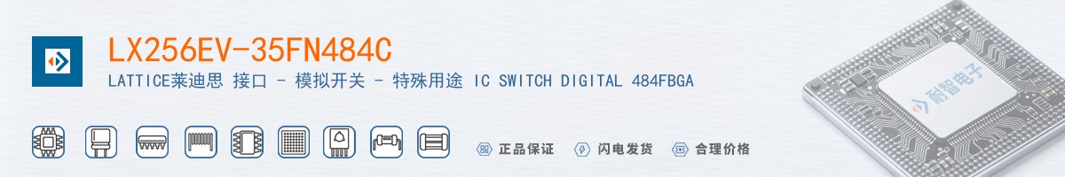 LX256EV-35FN484C������