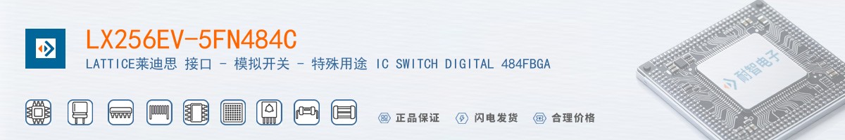 LX256EV-5FN484C������