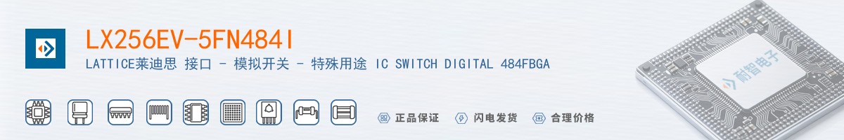 LX256EV-5FN484I������