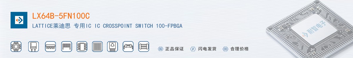 LX64B-5FN100C������