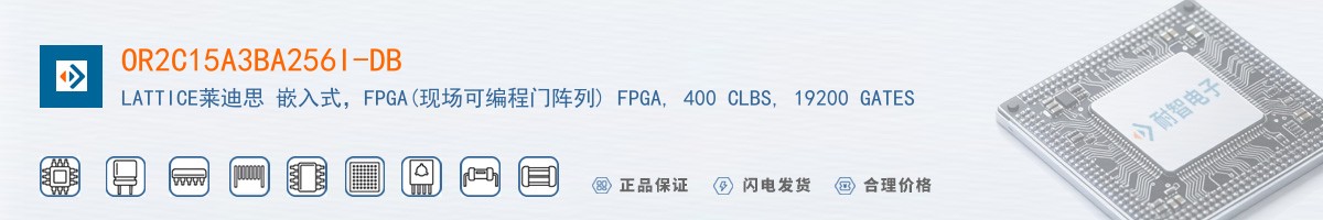 OR2C15A3BA256I-DB������
