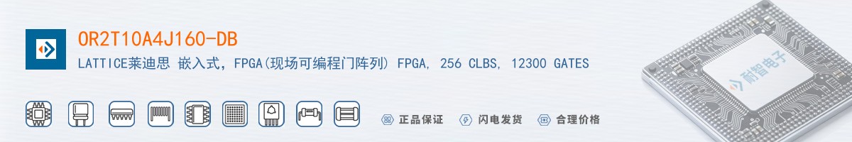 OR2T10A4J160-DB������