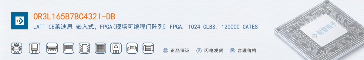 OR3L165B7BC432I-DB������