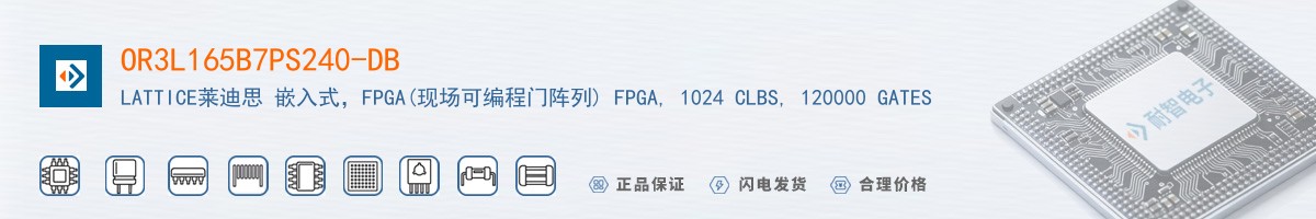 OR3L165B7PS240-DB������