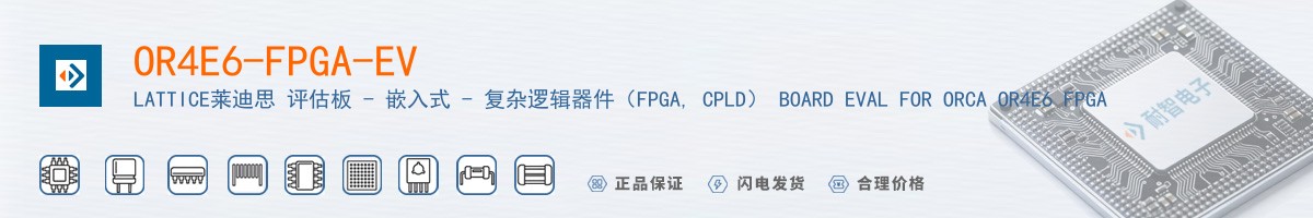 OR4E6-FPGA-EV������