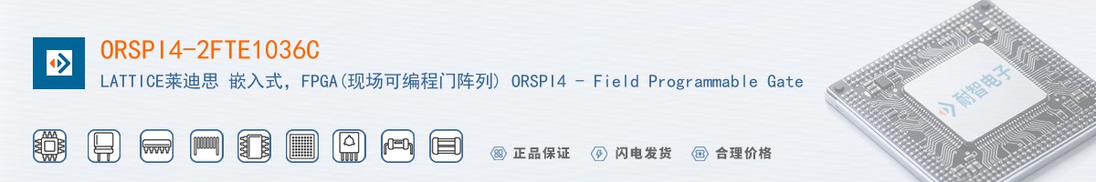 ORSPI4-2FTE1036C������
