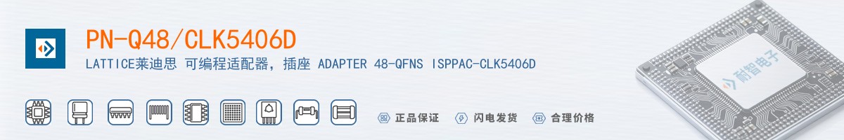PN-Q48/CLK5406D������